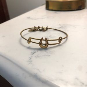 Alex and Ani bracelet